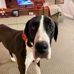 Meet your Posher, Sara